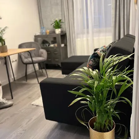Musai Apartment Brasov Exterior photo